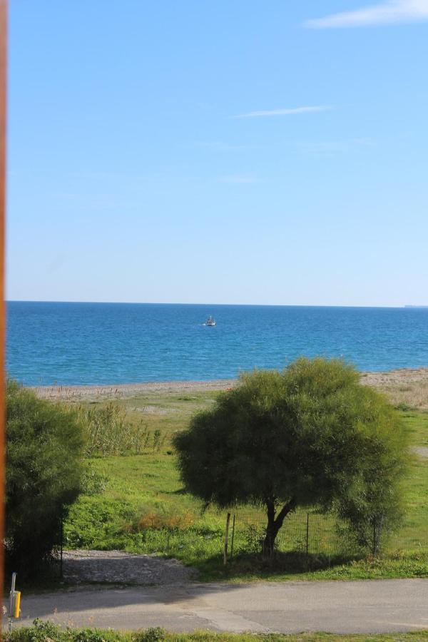 Villa El Sa Calopezzati Экстерьер фото